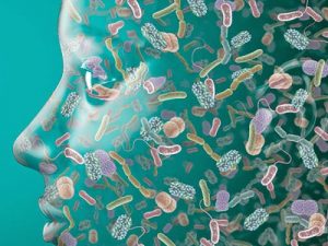 Biomagnetismo e o Microbioma Intestinal